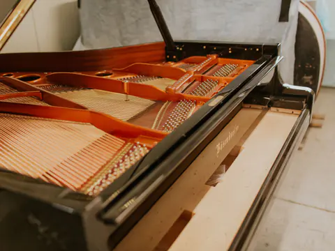WR-Piano Gallery Image 4